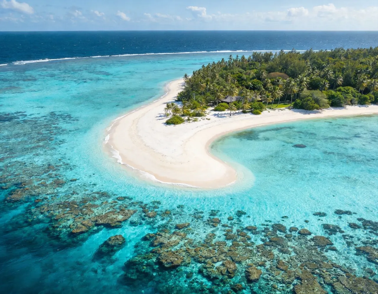 Great Barrier Reef destination for AI pet travel photos