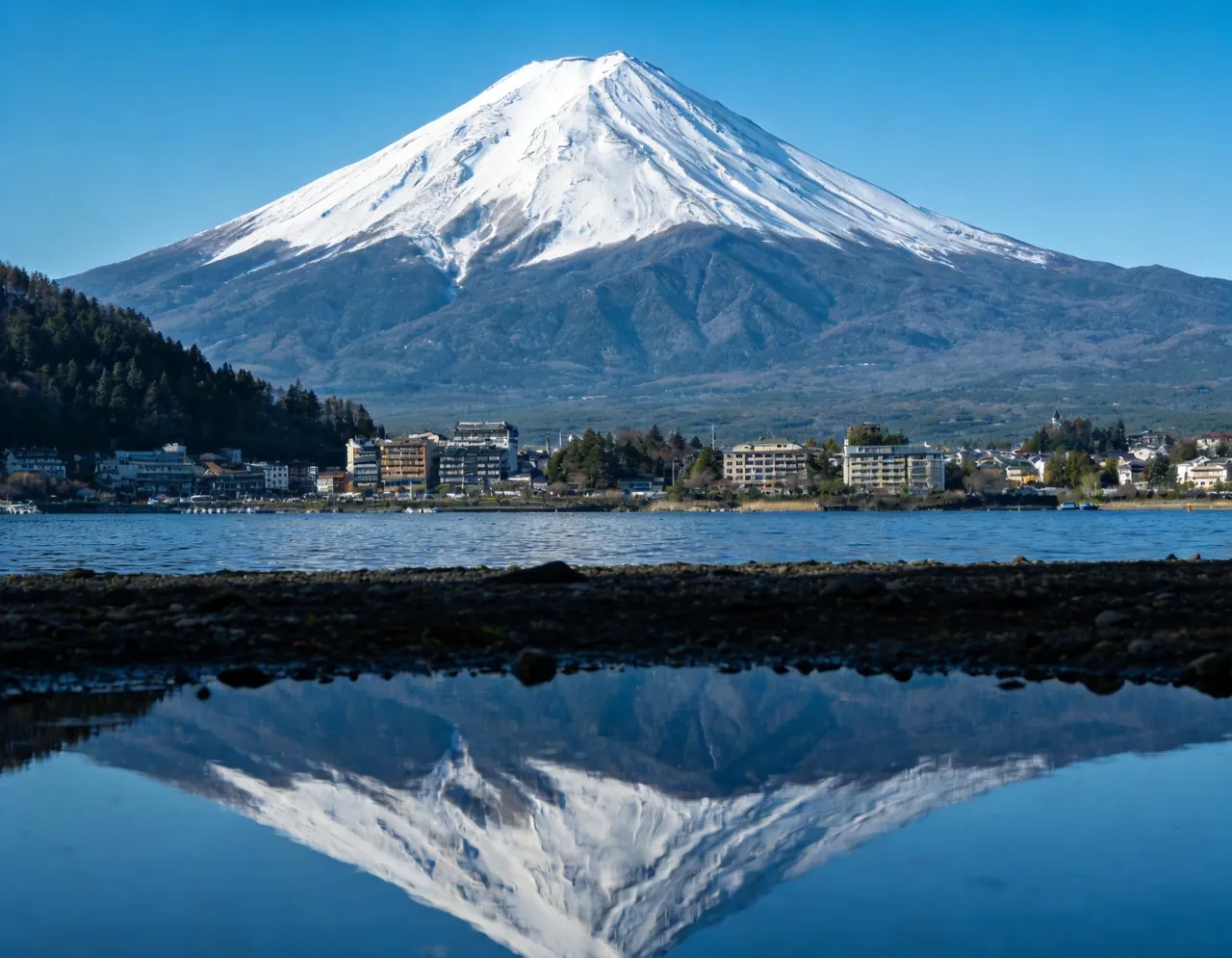 Tokyo dramatic travel backdrop for pets