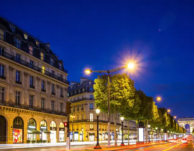 Champs-Élysées pet travel photo