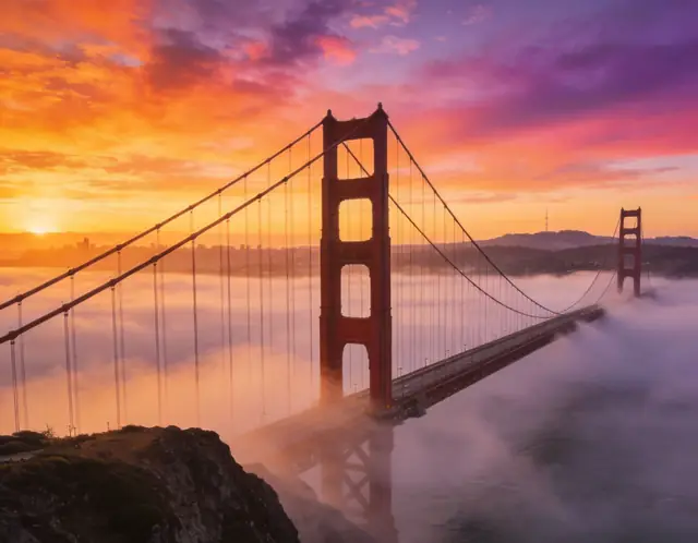 Golden Gate Bridge pet travel photo