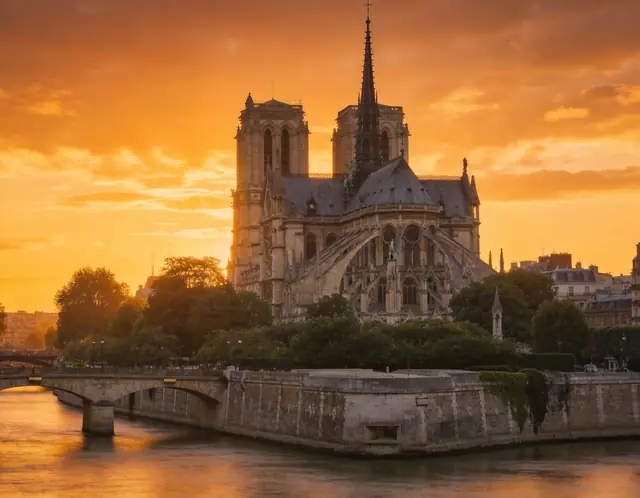 Notre Dame pet travel photo
