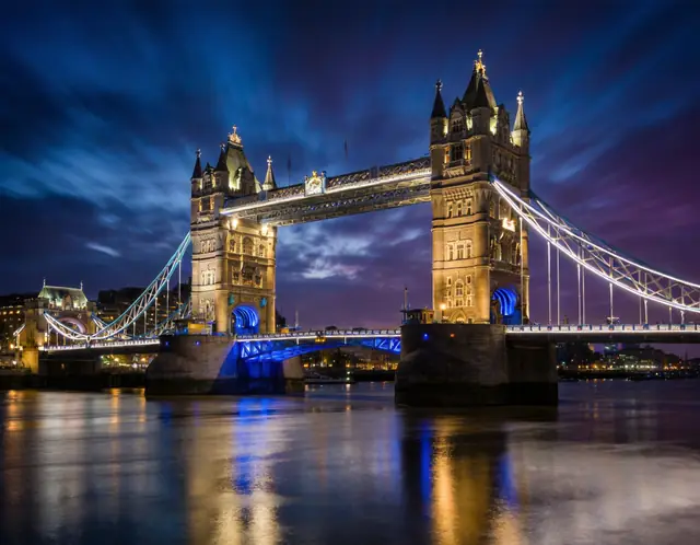 Tower Bridge pet travel photo